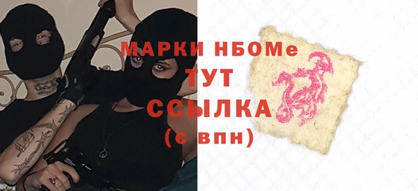 шишки Абаза
