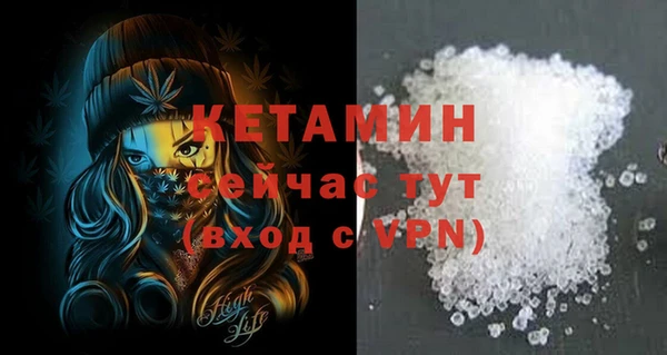 шишки Абаза