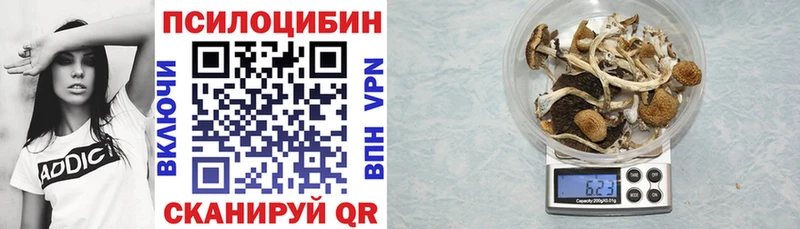 Псилоцибиновые грибы Psilocybine cubensis  купить наркотики цена  Старая Русса 