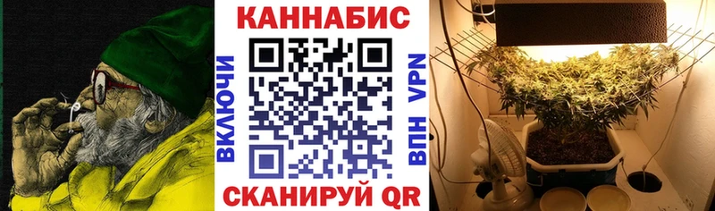 Шишки марихуана план  продажа наркотиков  гидра ссылки  Старая Русса 